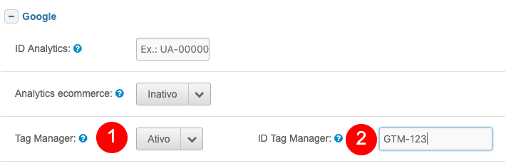 Ativando o Google Tag Manager no site